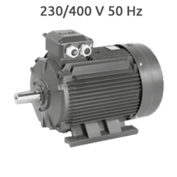 4P-MS160M motor 15 CV 1500 RPM