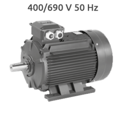 6P-EG160M Motor 7,5 KW (10 CV) 1000 RPM Trifasico de Fundición CEMER 400/690V