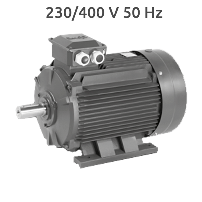 4P-IE3-EG160L Motor de 15 KW 20 CV 1500 RPM