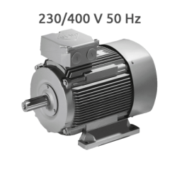K21R 100 LX 8-4 Motor 2 Velocidades 750/1500 RPM 1,36/2,0 KW (1.0/1,52 CV) Trifasico VEM