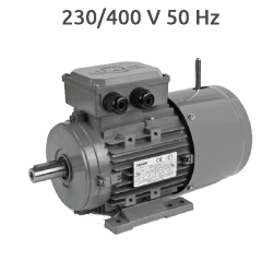 6P-MSEF100L - Motor con electrofreno 2 CV 1000 rpm