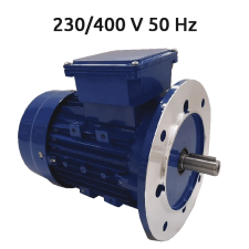 2P-MS711 B5 Motor trifasico 0,5 CV 3000 RPM 2P-MS711 B5 Motor trifasico 0,5 CV 3000 RPM