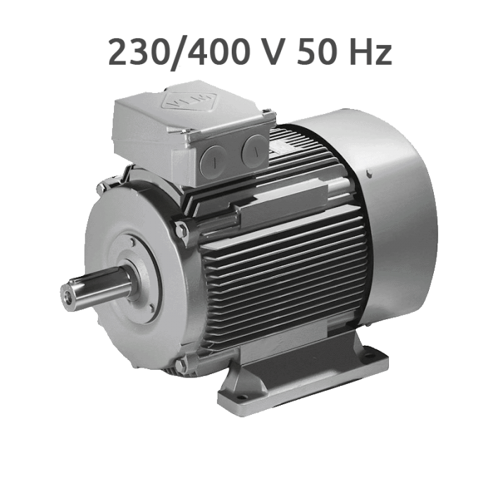 K21R 90L 6-4 Motor 2 Velocidades 1000/1500 rpm 0,7/1,2 CV Trifasico VEM