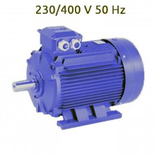 2P-MSE112M Motor 4 KW (5.5 CV) 3000 RPM Trifasico IE1 CEMER