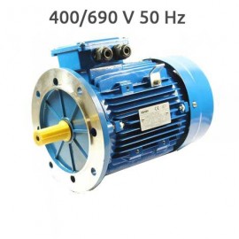8P-EG225M B5 400/690V Motor 22 KW (30 CV) 750 RPM Trifasico de Fundición CEMER