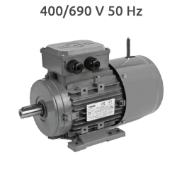 6P-MSEF112M Motor con electrofreno 3 CV 1000 rpm 400/690V