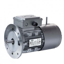 6P-MSEF90L1 Motor Trifasico 1000 rpm 1,1 KW (1,5 CV) con electro freno IP54 CEMER
