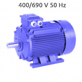 2P-MS160M2 400/690V Motor 15 KW (20 CV) 3000 RPM Trifasico CEMER 2P-MS160M2 400/690V Motor 15 KW (20 CV) 3000 RPM Trifasico CEMER