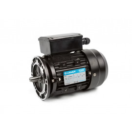 2-IE2-MJYE712-B5 Motor monofasico 0,75 CV 3000 RPM IE2 par aumentado 2-IE2-MJYE712-B5 Motor monofasico 0,75 CV 3000 RPM IE2 par aumentado