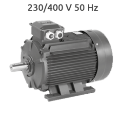4IE3 EGH132M Motor trifasico 10 CV 1500 RPM fundición 4IE3 EGH132M Motor trifasico 10 CV 1500 RPM fundición