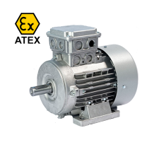 4IE2-RLM90S Motor Antideflagrante 1500 rpm 0,75 KW II 2G Ex db IIB T4 Gb